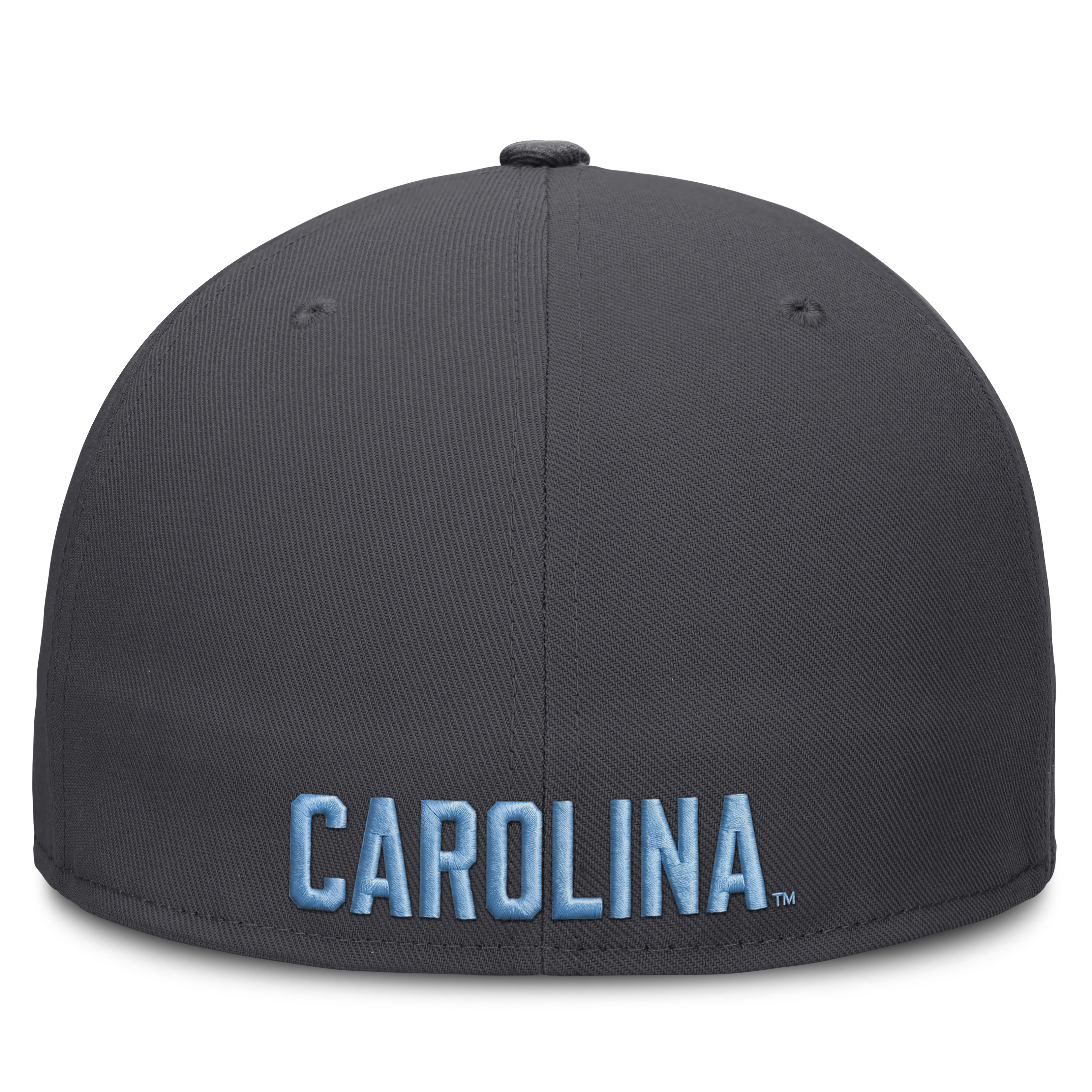 Casquette ajustée Jordan Brand anthracite North Carolina Tar Heels Pro Dri-FIT pour homme