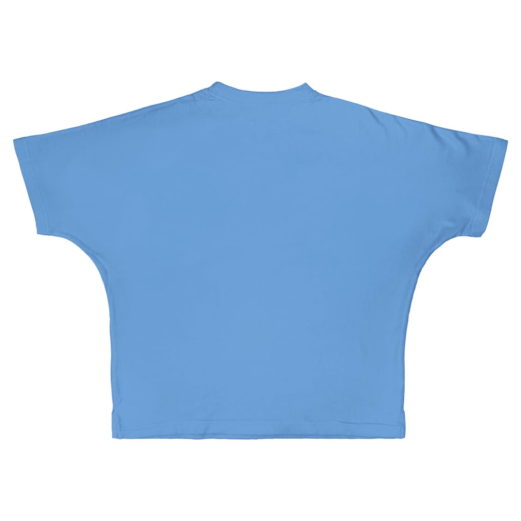 North Carolina Tar Heels Fan T-Shirt – 'Carolina Blue 'Til I'm Through' Long Sleeve, 100% Cotton, Sm-5X (Large)
