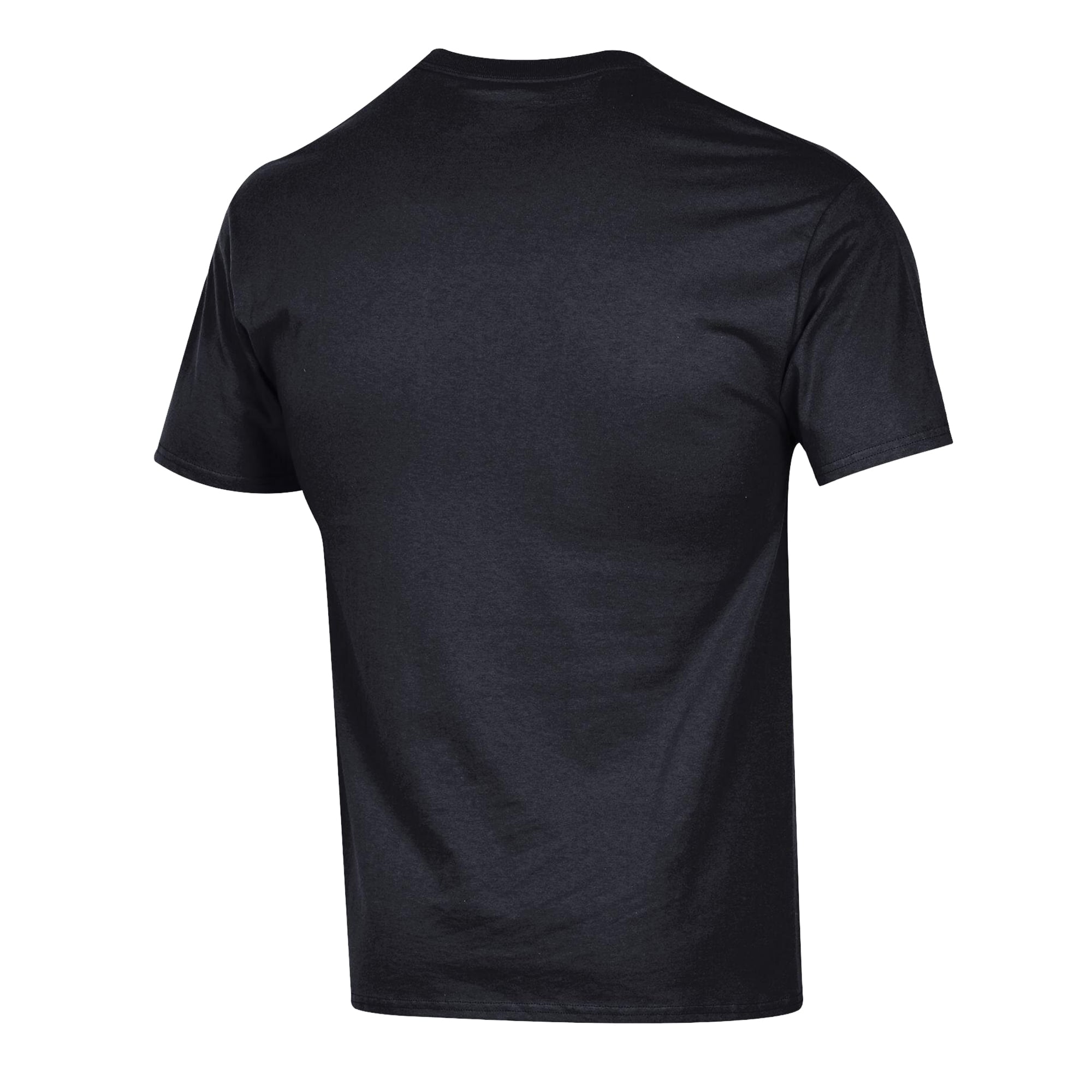 T-shirt Champion noir pour hommes avec logo en arc des Northeastern Huskies
