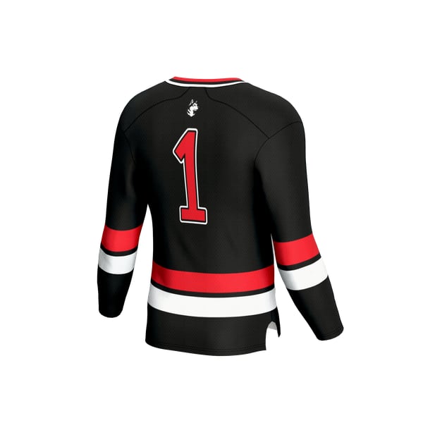 Unisex GameDay Greats Black Northeastern Huskies Lightweight 