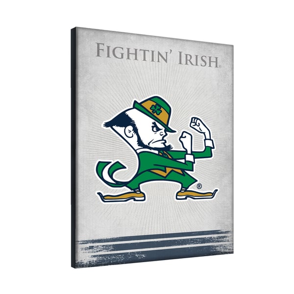 Notre Dame Fighting Irish 15 display picture 1