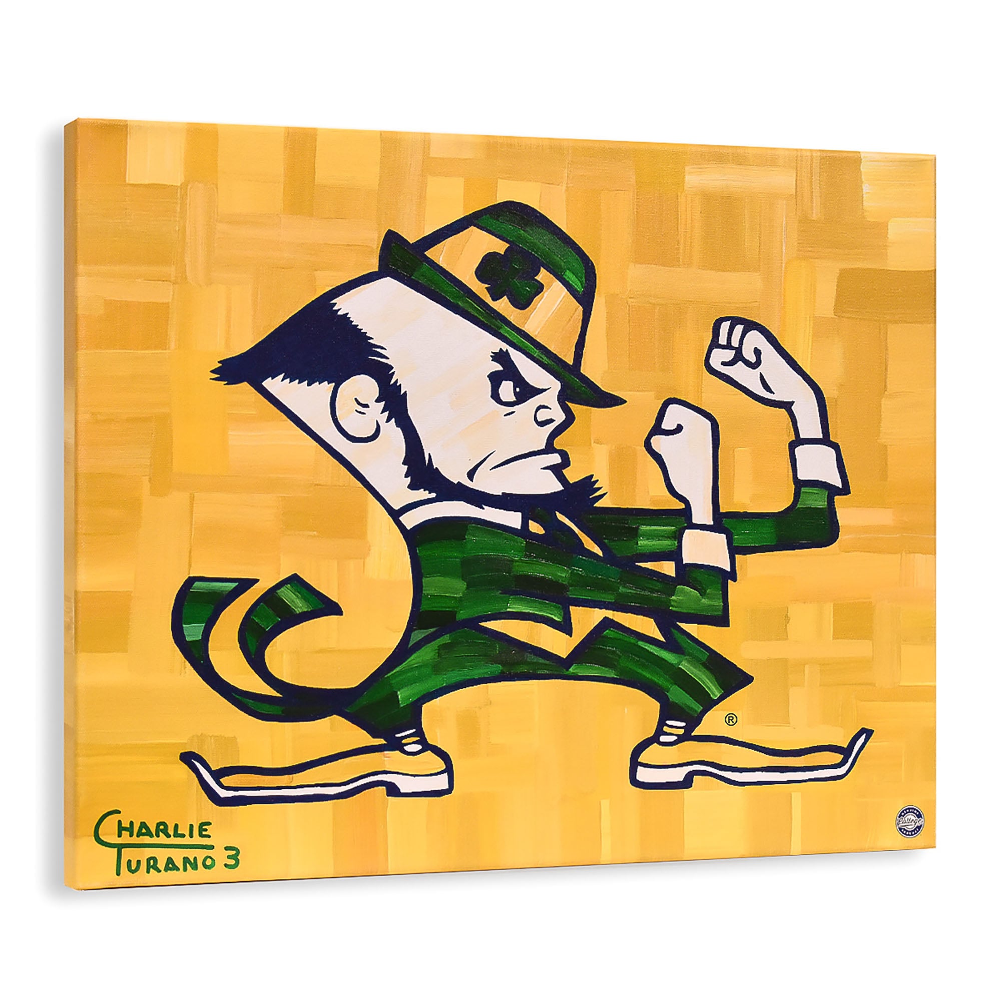 Notre Dame Fighting Irish 16