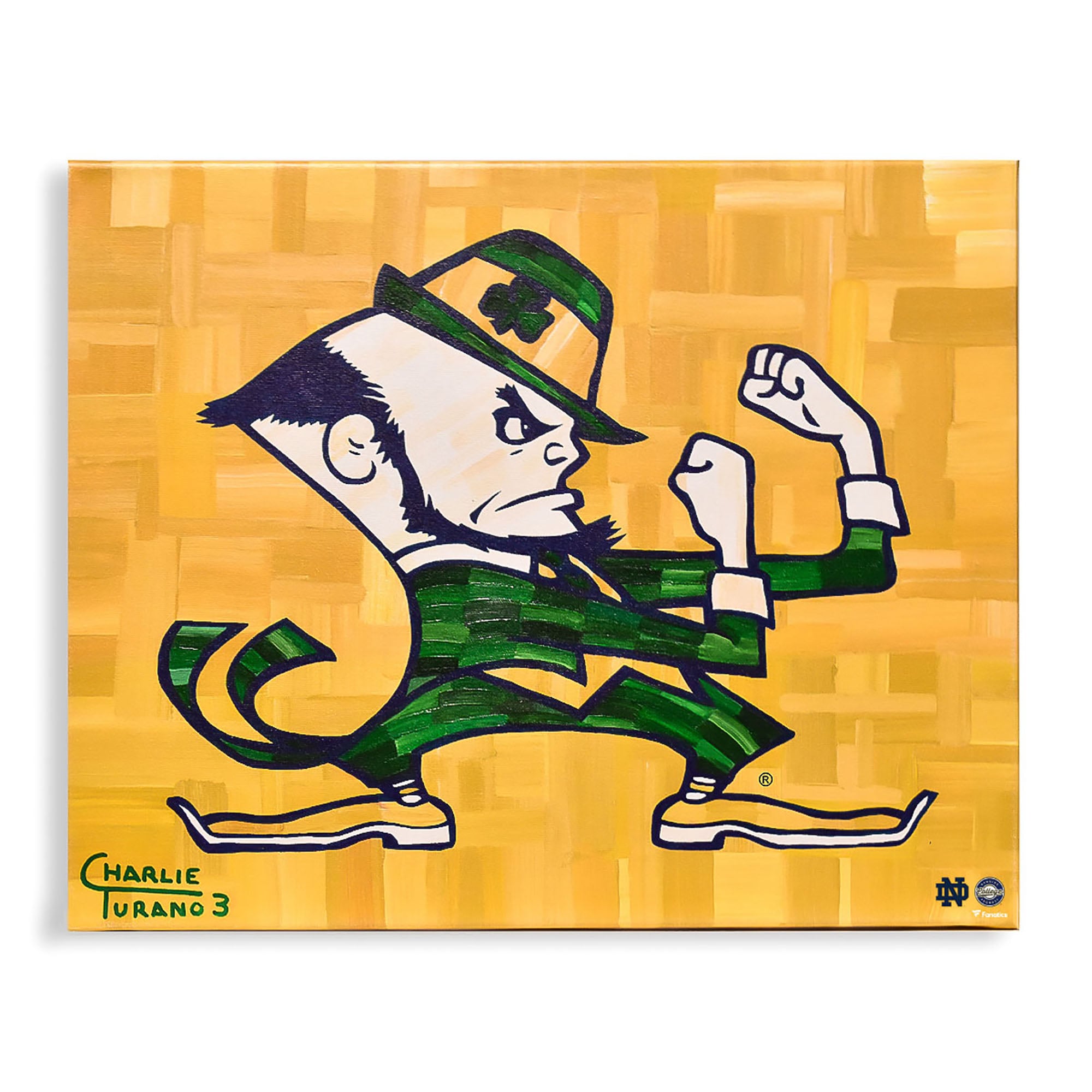 Notre Dame Fighting Irish 16
