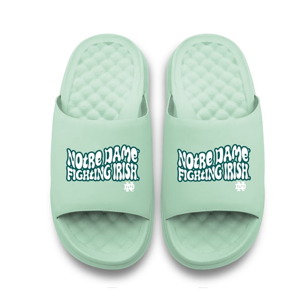 Notre Dame Fighting Irish Unisex‎ Slip On Canvas Shoes Gold Logo Size M6.5/W8 Blue Notre Dame Fighting Irish NCAA Shoes for sale | eBay main image 4