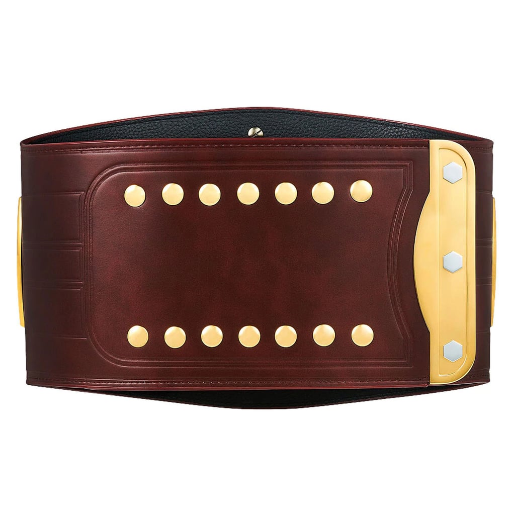 NXT North American Championship Replica Title Belt display picture 1