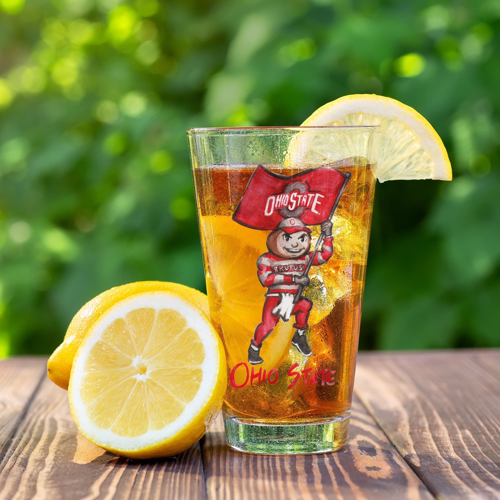 Ensemble de 2 verres à bière Indigo Falls Ohio State Buckeyes, mascotte Laura Wilcox