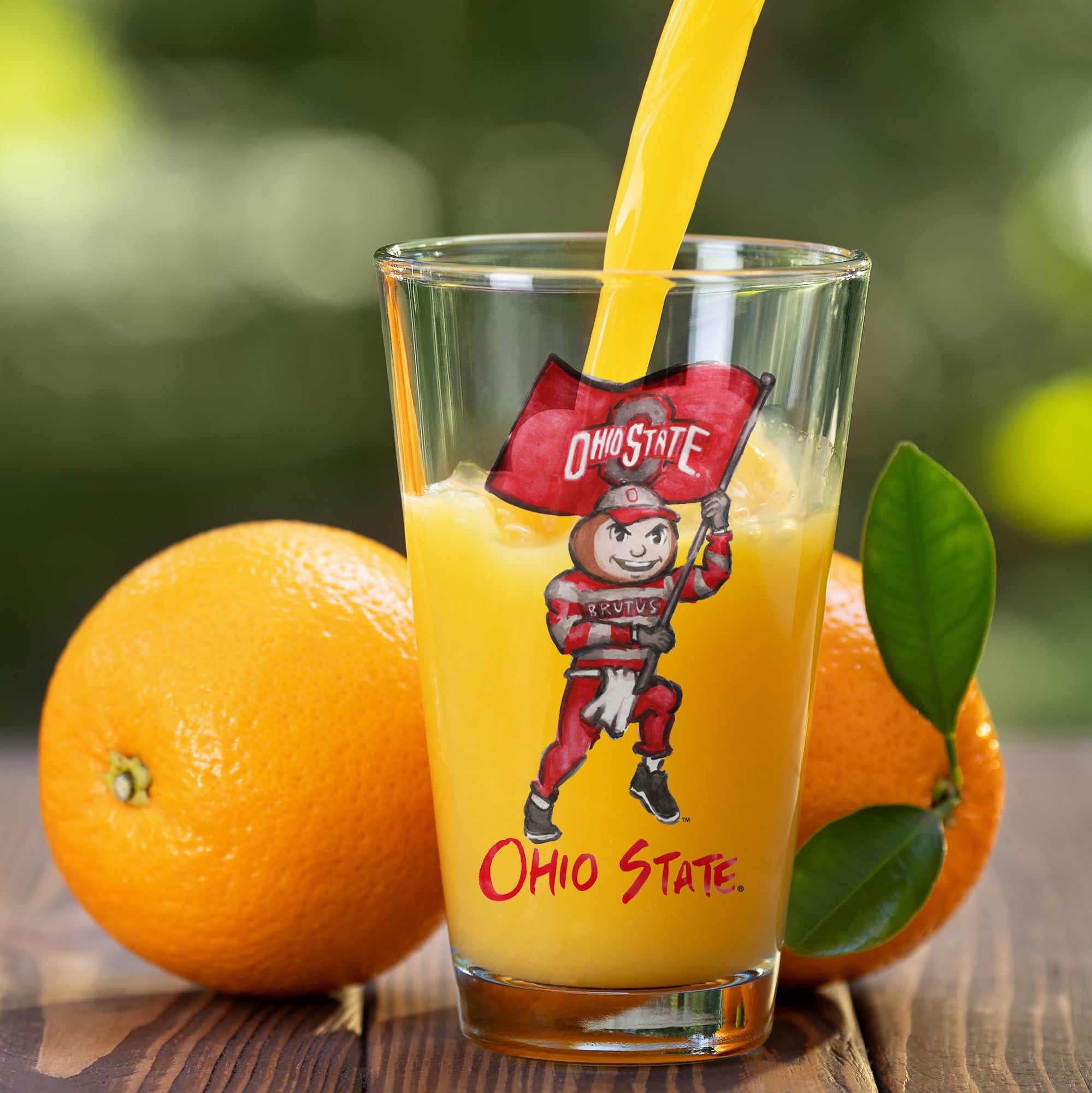 Ensemble de 2 verres à bière Indigo Falls Ohio State Buckeyes, mascotte Laura Wilcox