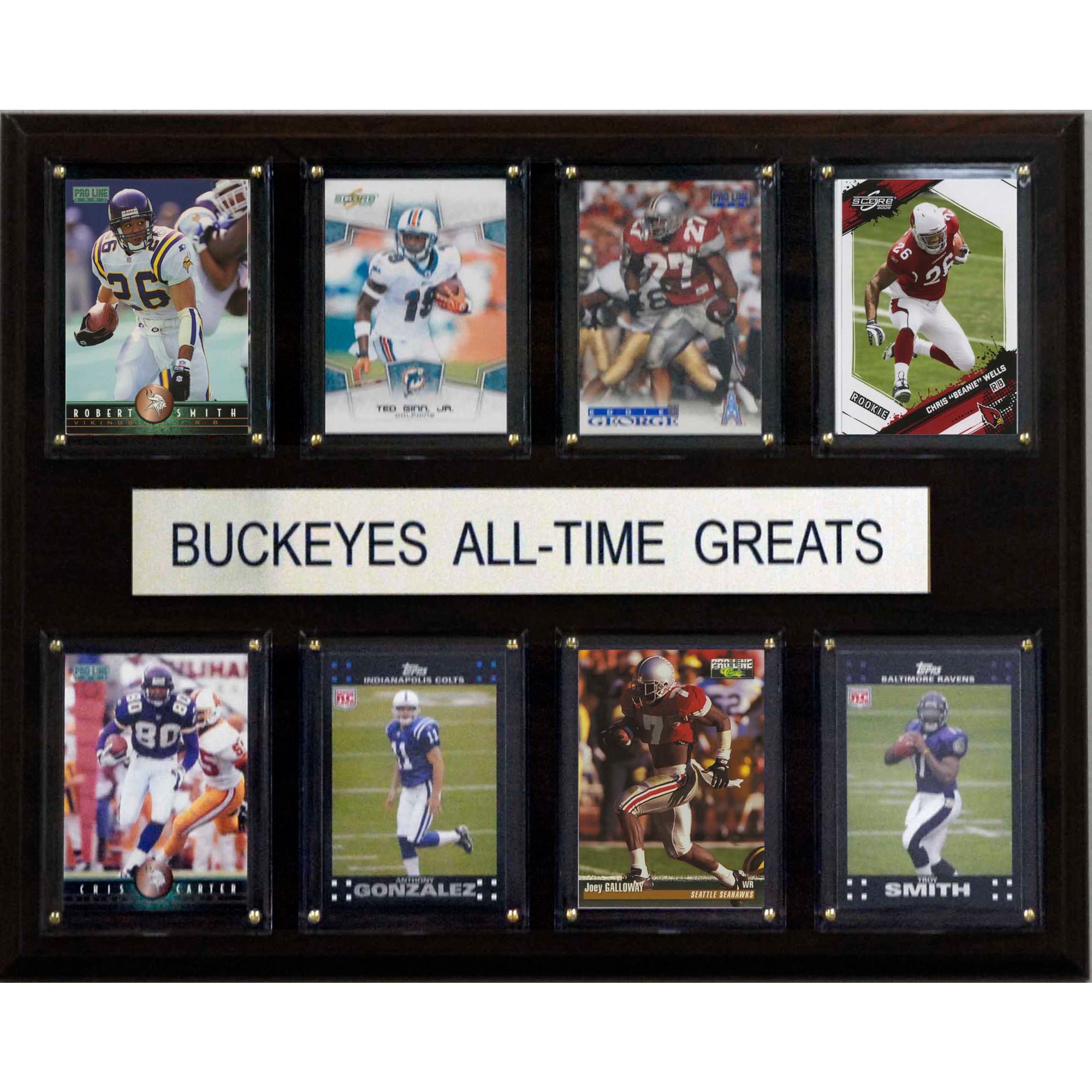 ohio-state-buckeyes-12-x-15-