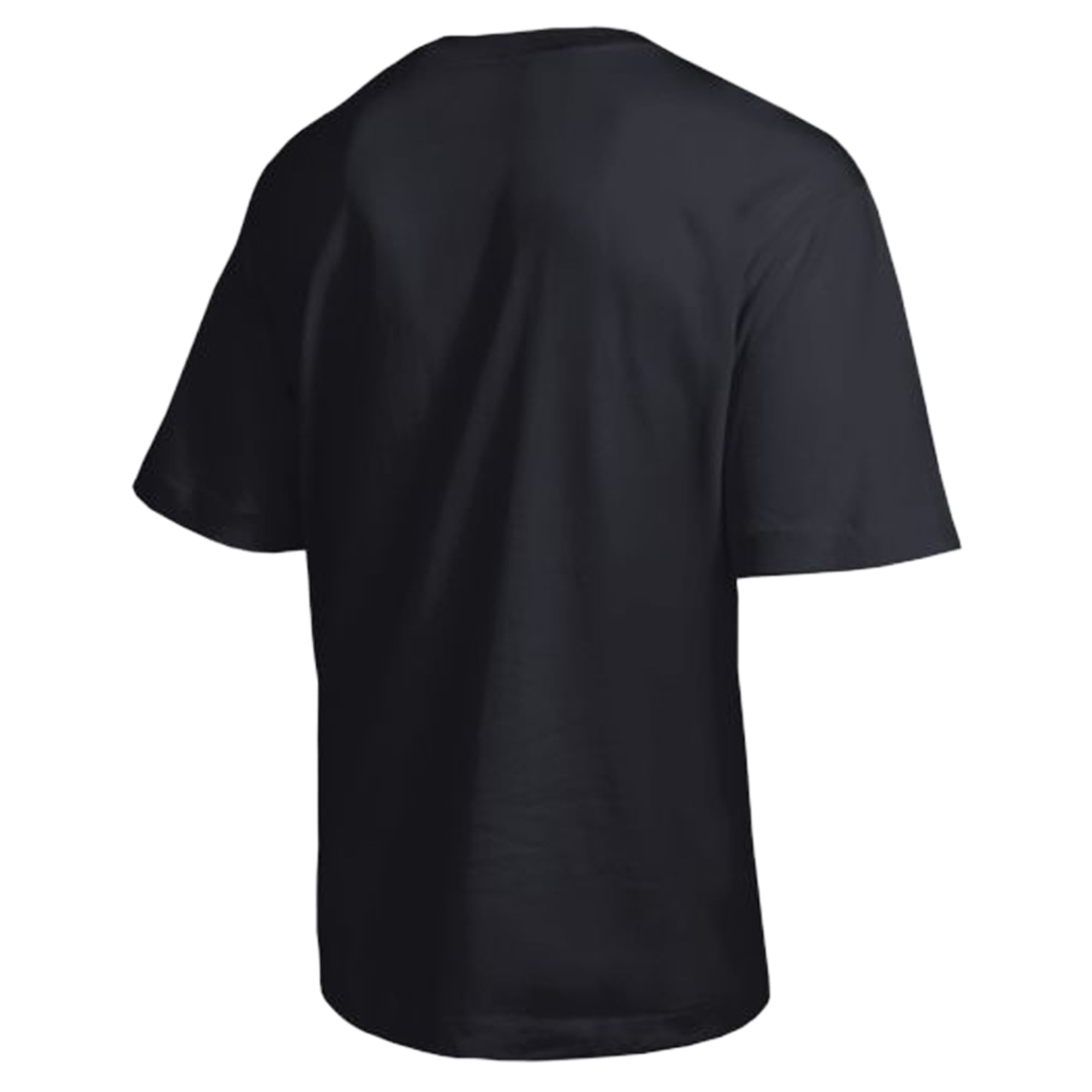 Men's Champion  Black Oregon Ducks Established Tradition Heavyweight T-Shirt
