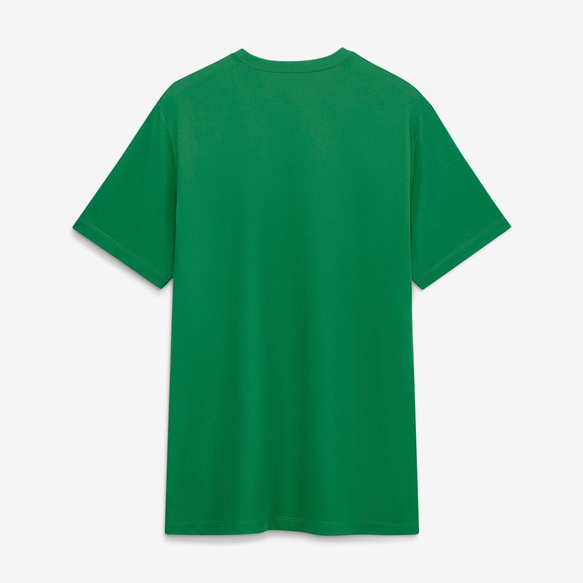 Men's Nike Green Oregon Ducks Sideline Legend Dri-FIT T-Shirt