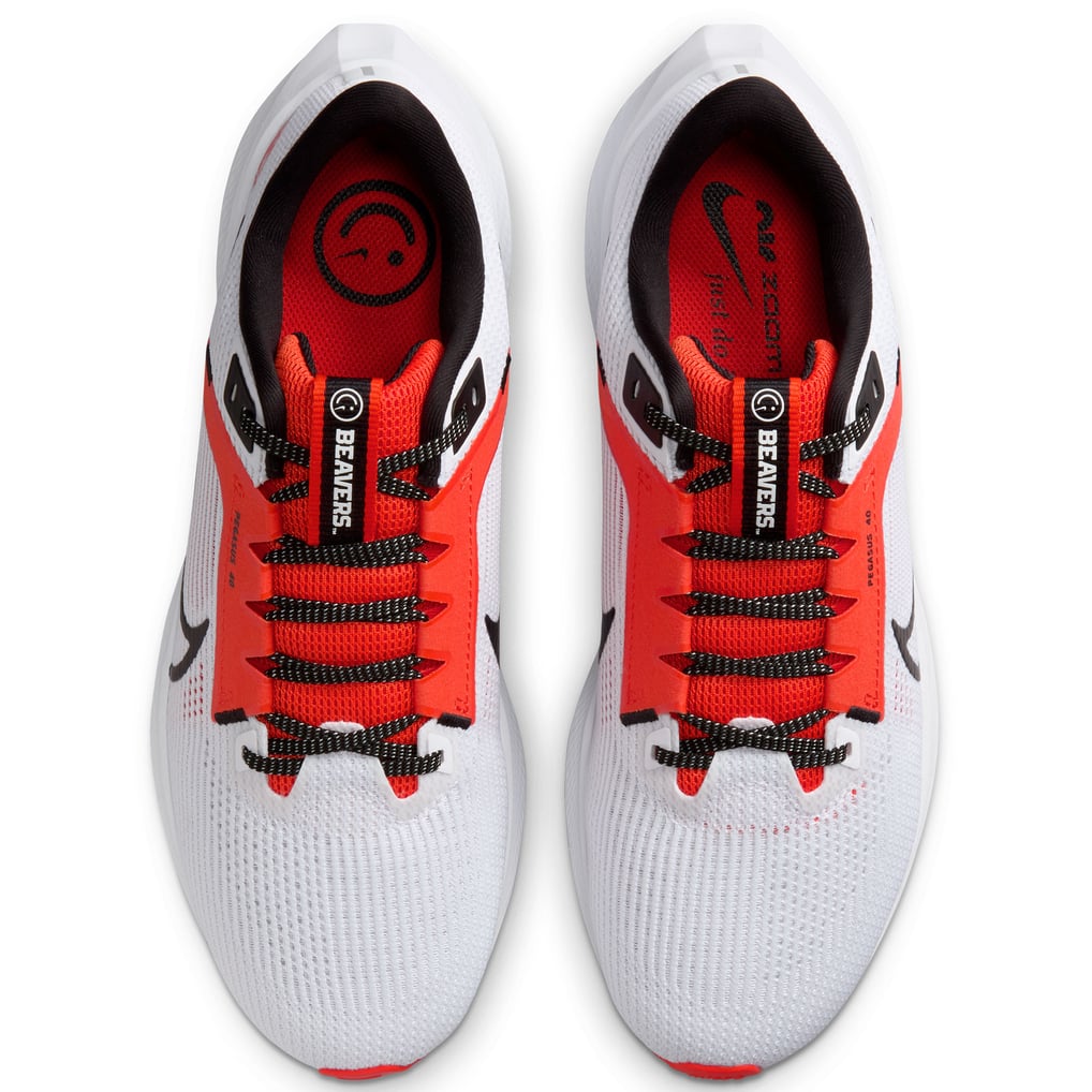 Nike Air Zoom‎ Pegasus 40 \