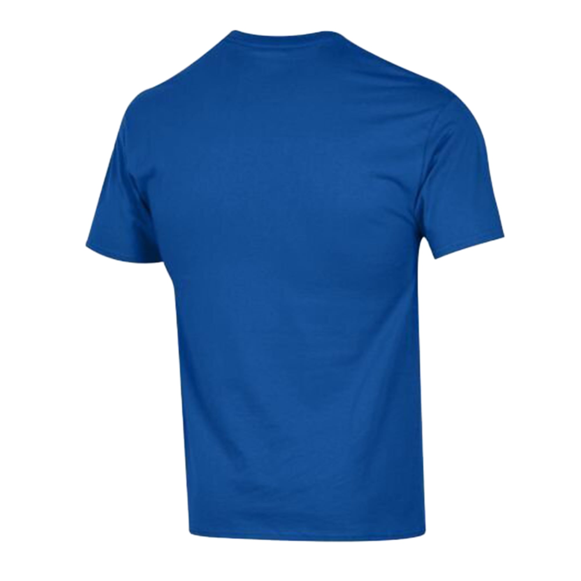T-shirt en coton Champion Royal Orlando Magic pour homme