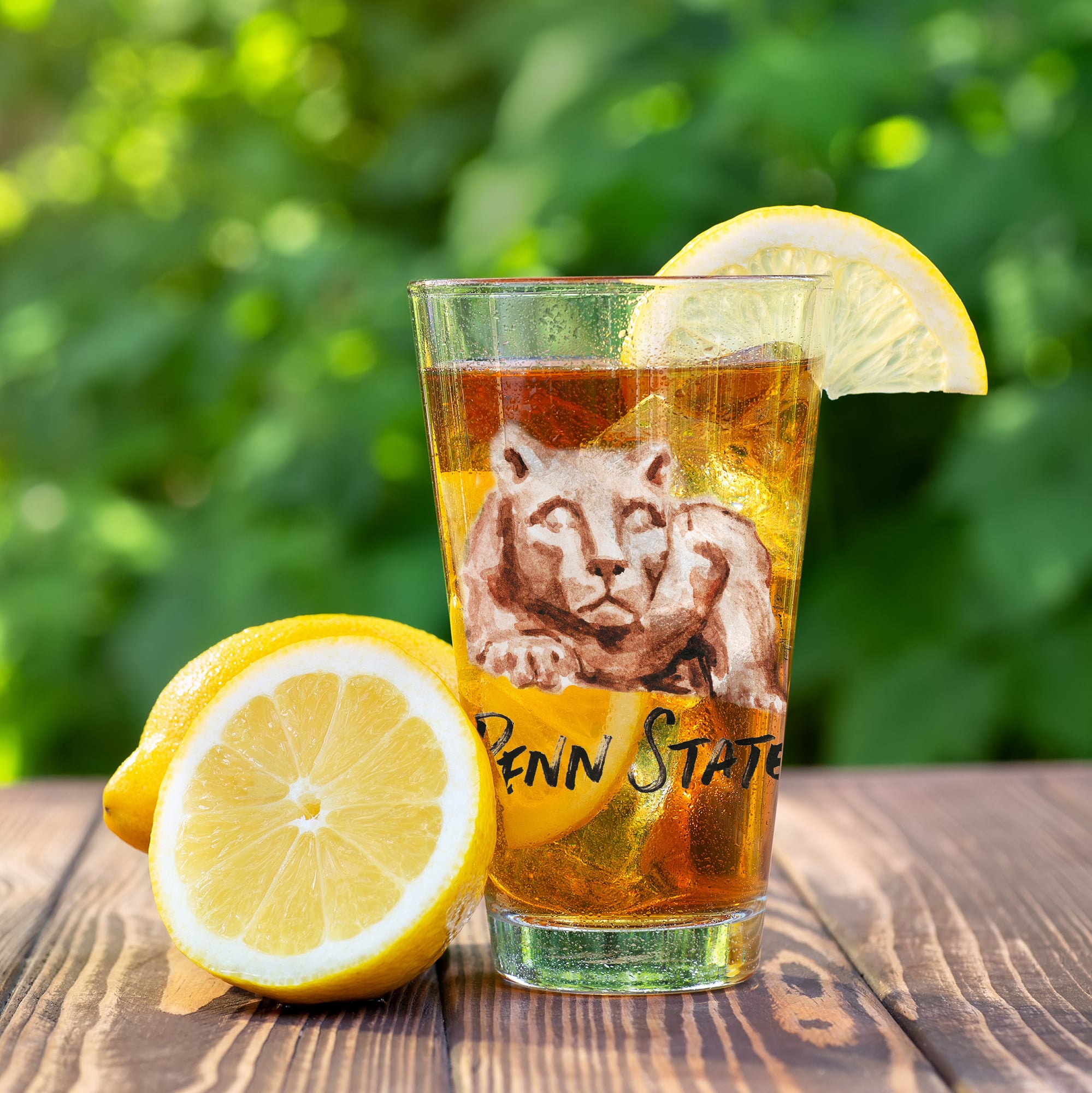 Ensemble de 2 verres à bière Indigo Falls Penn State Nittany Lions à l'effigie de Laura Wilcox, mascotte de l'équipe,