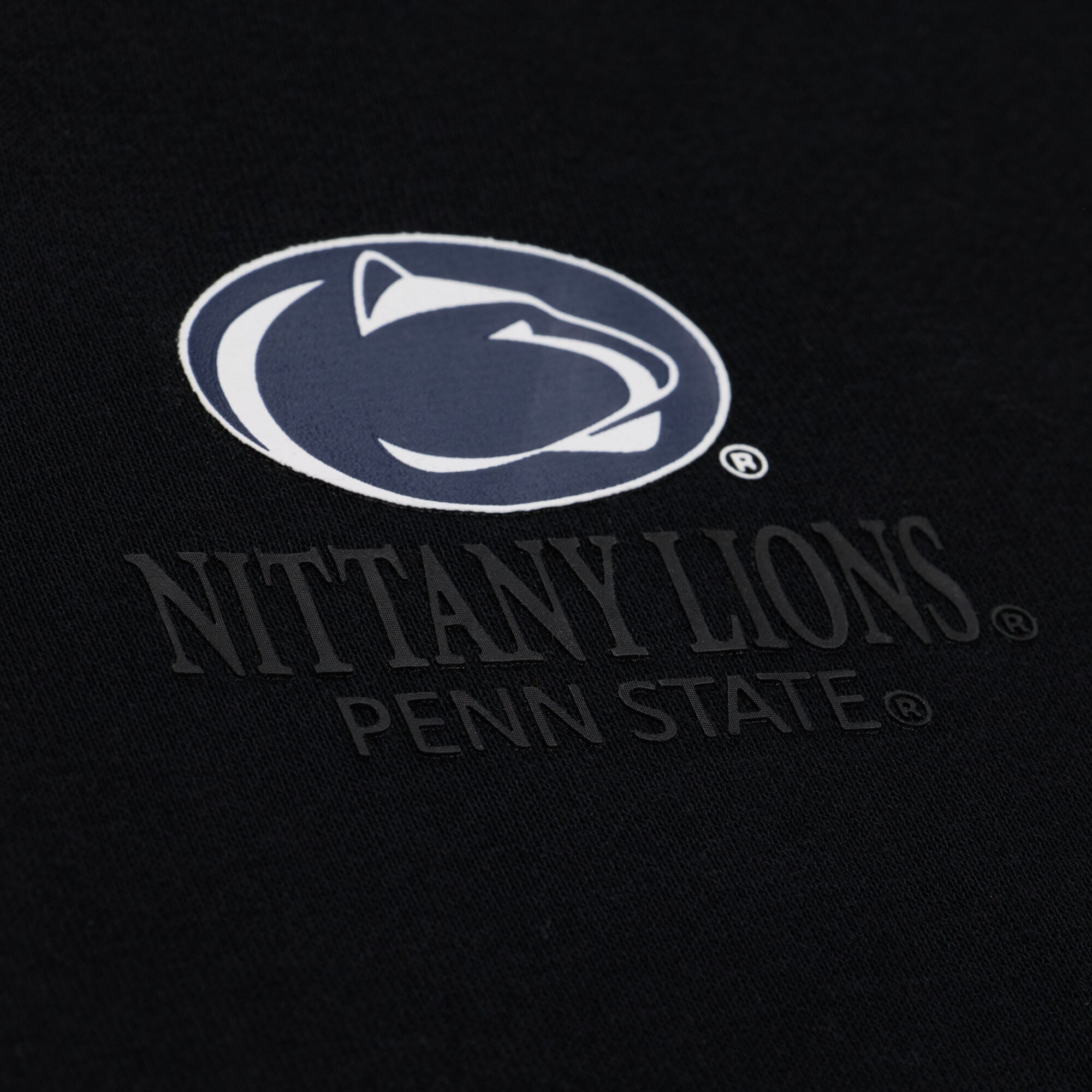 Men's Mitchell & Ness  Black Penn State Nittany Lions Monochrome Icon Fleece Hoodie