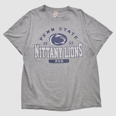 Penn State Nittany Lions Delta 2010s T-shirt - Heather Gray - M by Fanatics Real Vintage