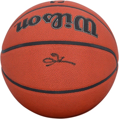 Allen Iverson Philadelphia 76ers Autographed Fanatics Authentic Wilson Authentic Series Indoor/Outdoor Basketball