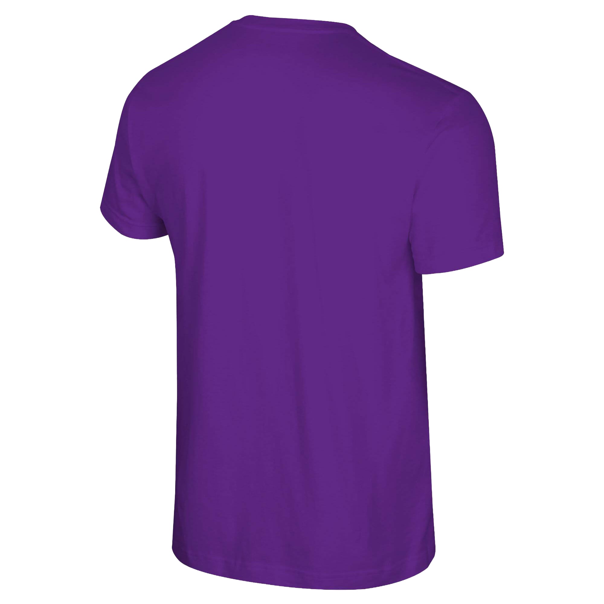 T-shirt unisexe Stadium Essentials violet Phoenix Mercury Origins avec logo couleur