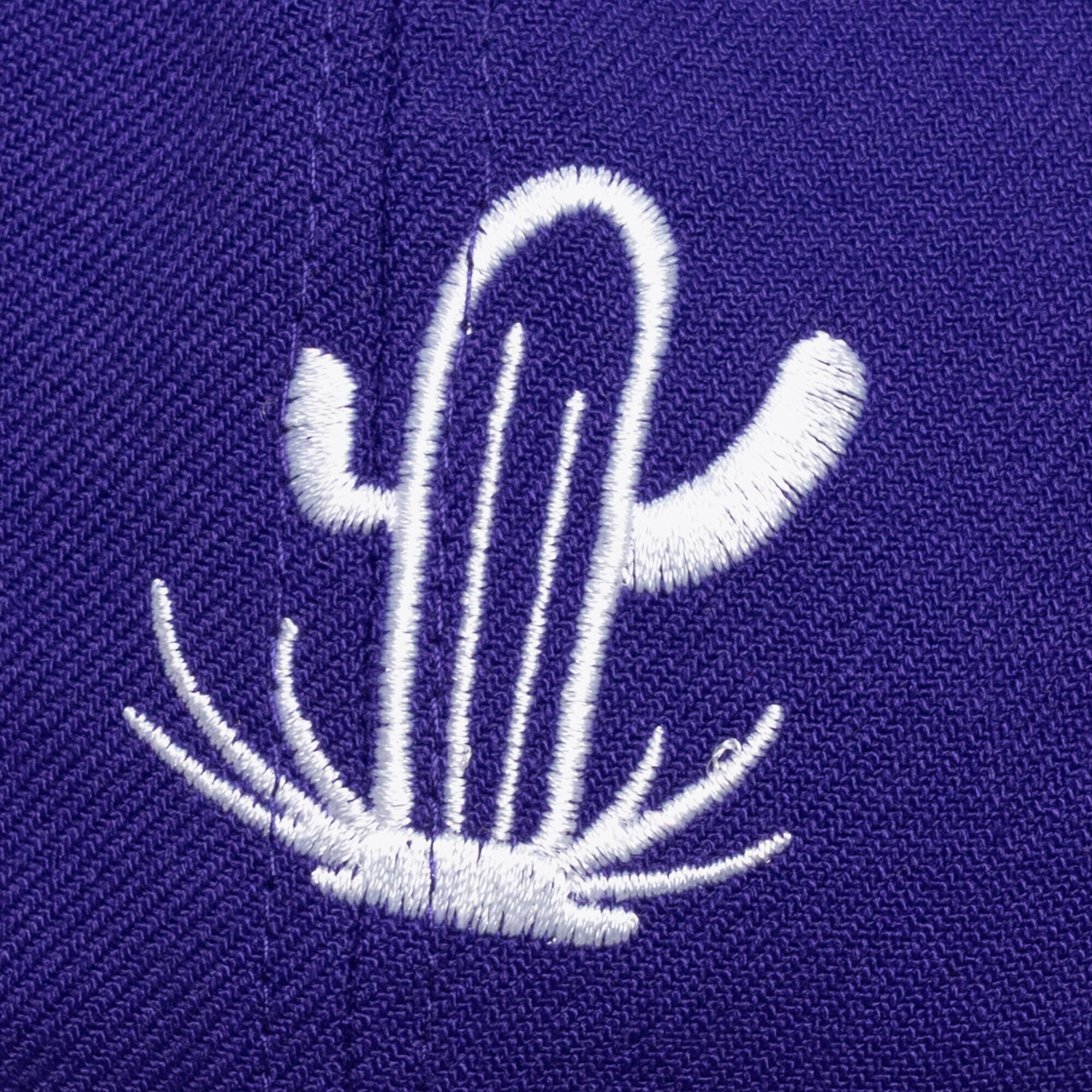Casquette unisexe Mitchell & Ness violette Phoenix Suns Hardwood Classics Downtown Doodle Pro Snapback