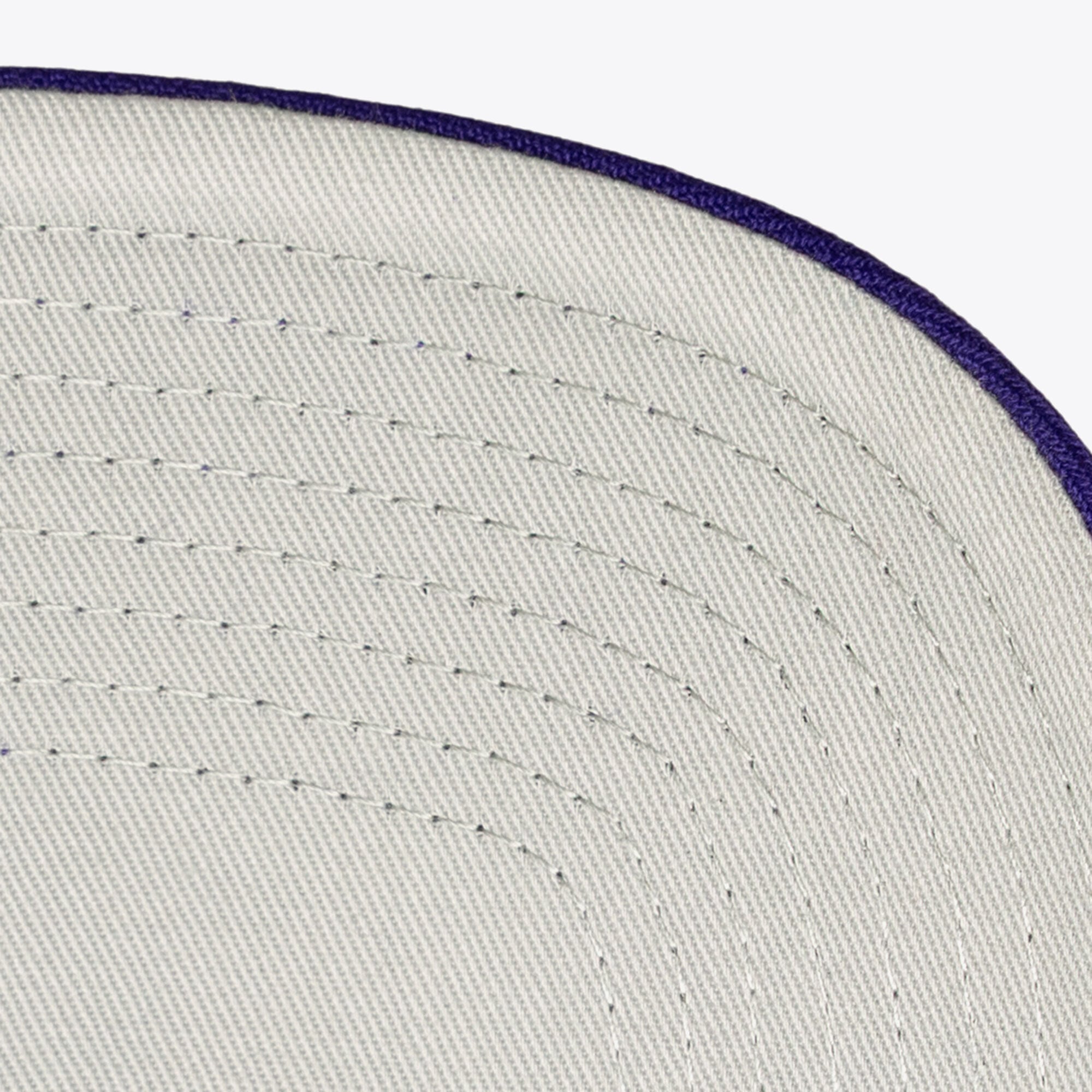 Casquette unisexe Mitchell & Ness violette Phoenix Suns Hardwood Classics Downtown Doodle Pro Snapback