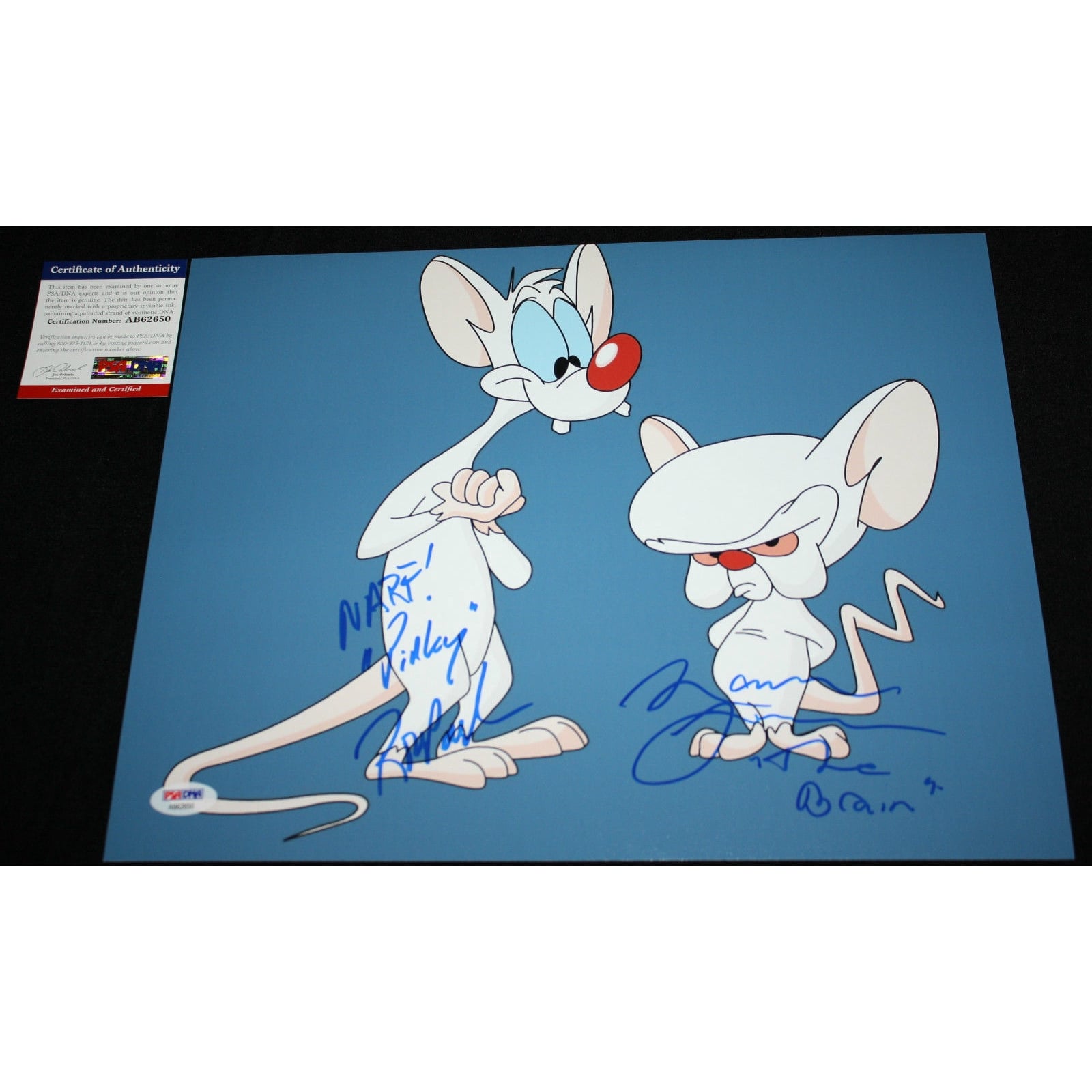 Animaniacs Pinky And The Brain animaniacs-pinky-and-the-brain