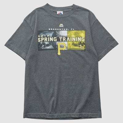 Pittsburgh Pirates Majestic 2015 T-shirt - Dark Heather Gray - S by Fanatics Real Vintage