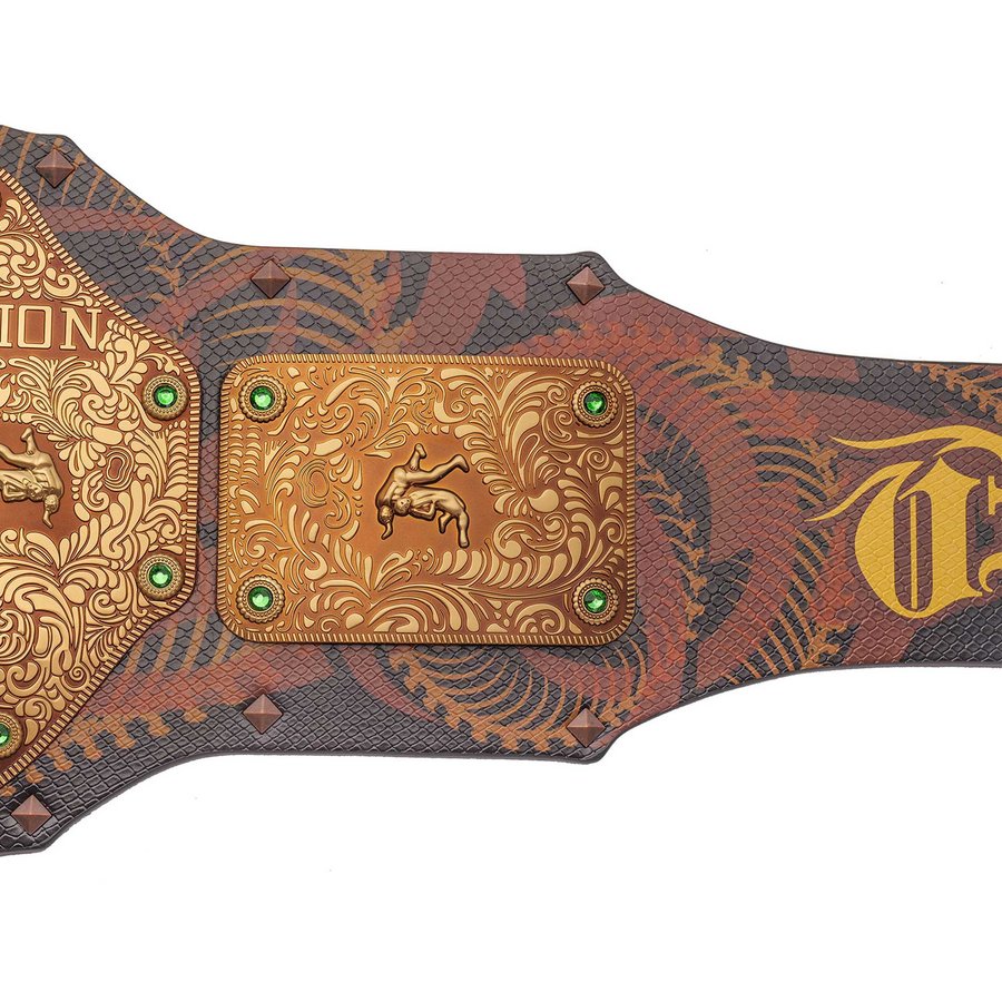 Black Belt Randy Randy Orton Wwe Championship Belt