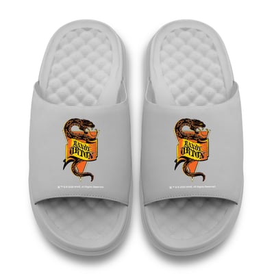 Randy Orton WWE ISlide Youth Snake Motive Slide Sandals - Gray