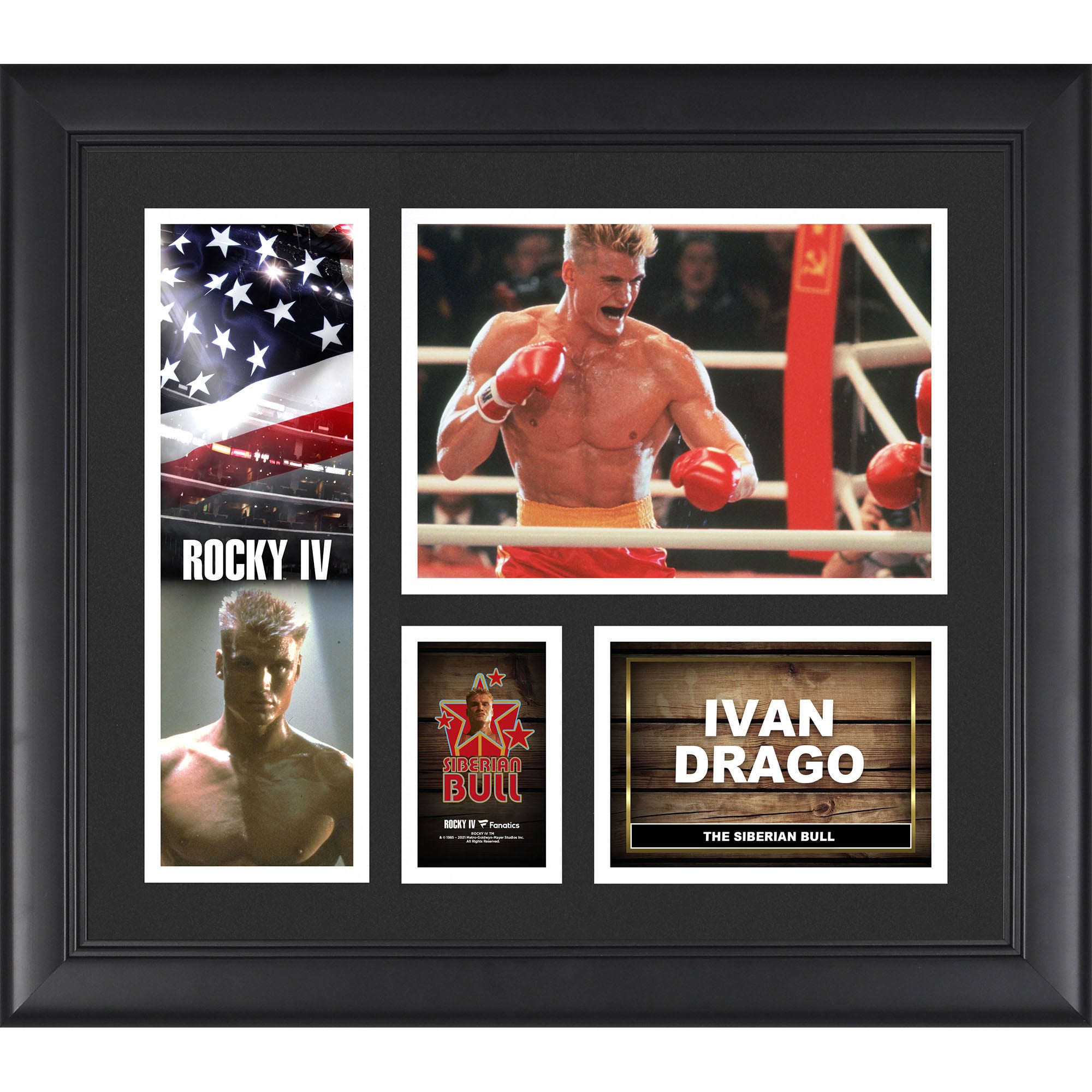 Ivan Ragon Ivan Drago Boxing Gloves