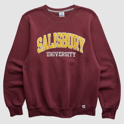 Salisbury Sea Gulls Russell 2010s Pullover Sweatshirt - Maroon - S by Fanatics Real Vintage