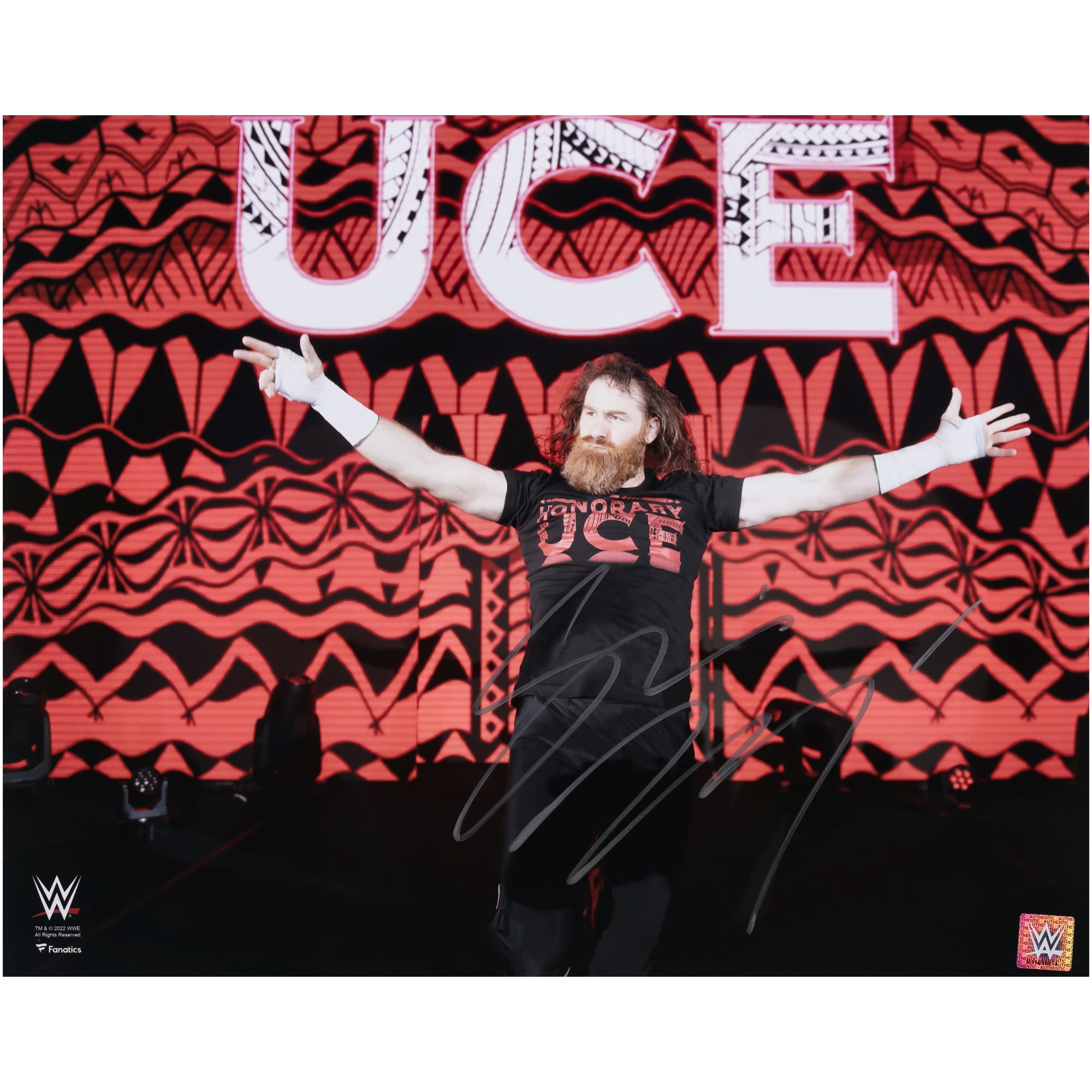 sami-zayn-wwe-autographed-16-x