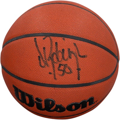 David Robinson San Antonio Spurs Autographed Fanatics Authentic Wilson Authentic Series Indoor/Outdoor Basketball