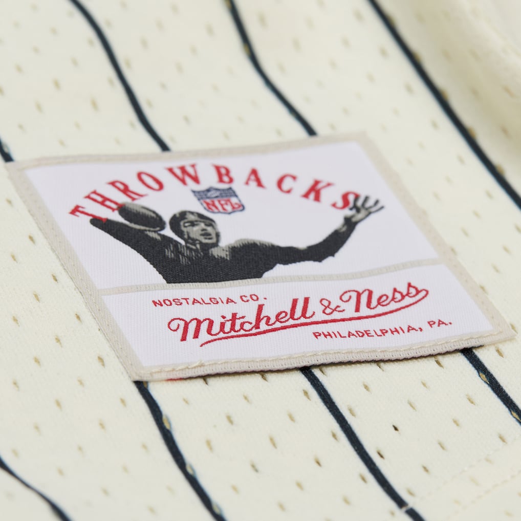 Jerry Rice San Francisco 49ers Mitchell & Ness Name & Number Mesh ...