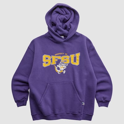 San Francisco State U Gators Russell 2000s Hooded Pullover Sweatshirt - Purple - Yth XL by Fanatics Real Vintage