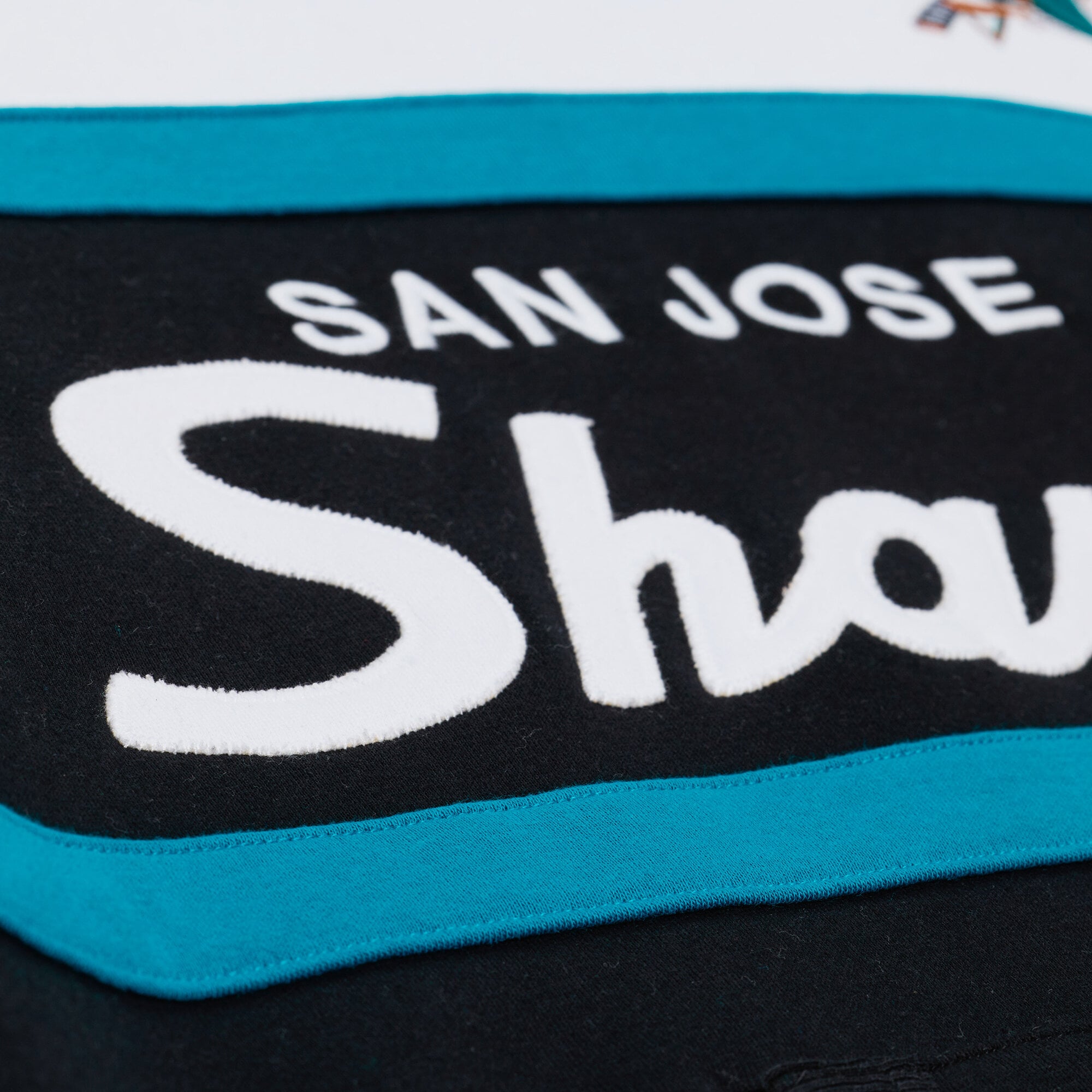 Men's Mitchell & Ness Black San Jose Sharks Head Coach Hoodie