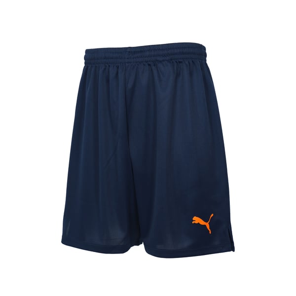 Shop Shimizu S-Pulse Clothing, Shimizu S-Pulse Puma Shop | Shimizu 
