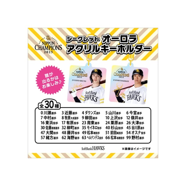 ホークス公式オンラインストア雑貨・小物・アクセサリー