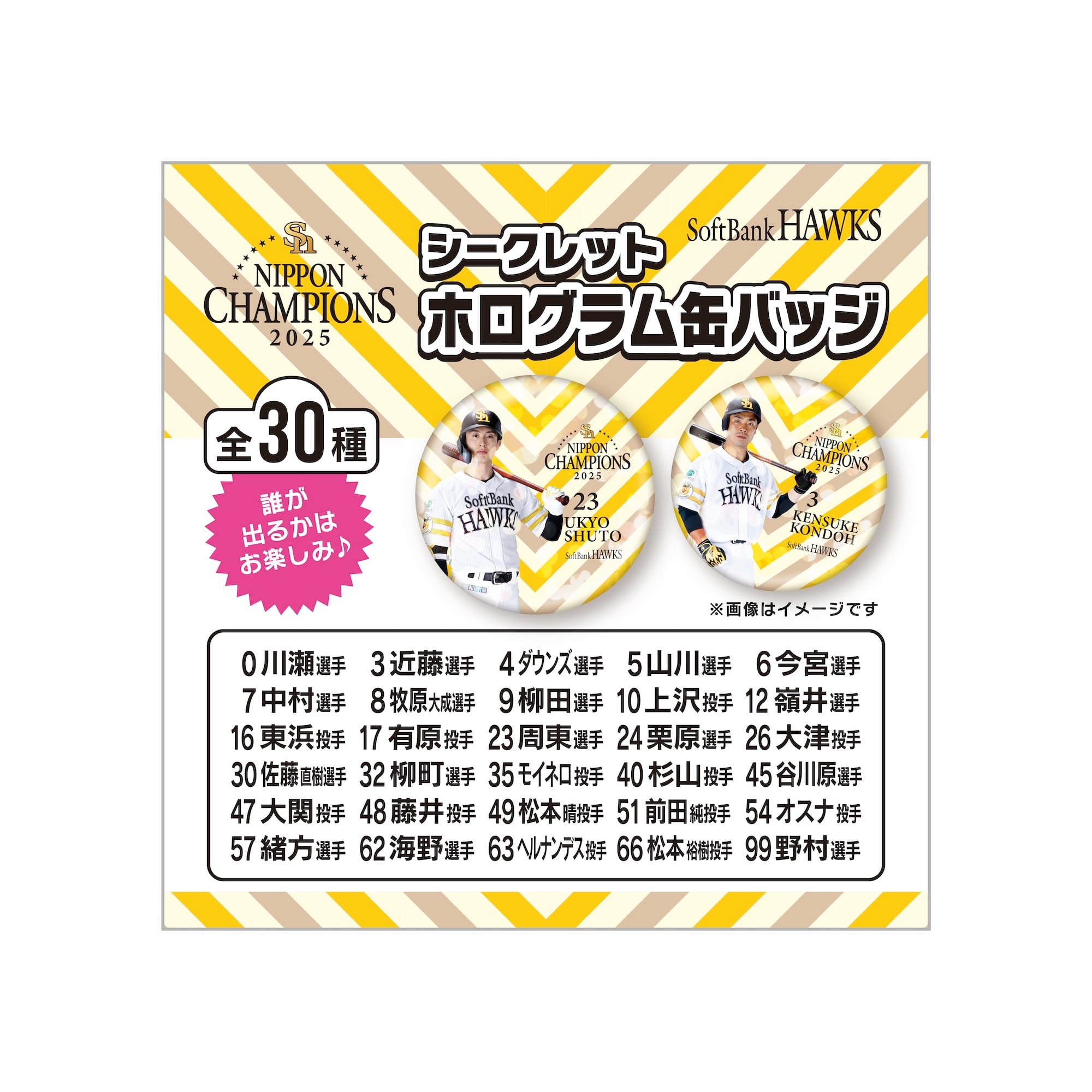 シークレット】2025日本一記念 シークレットホログラム缶バッジ