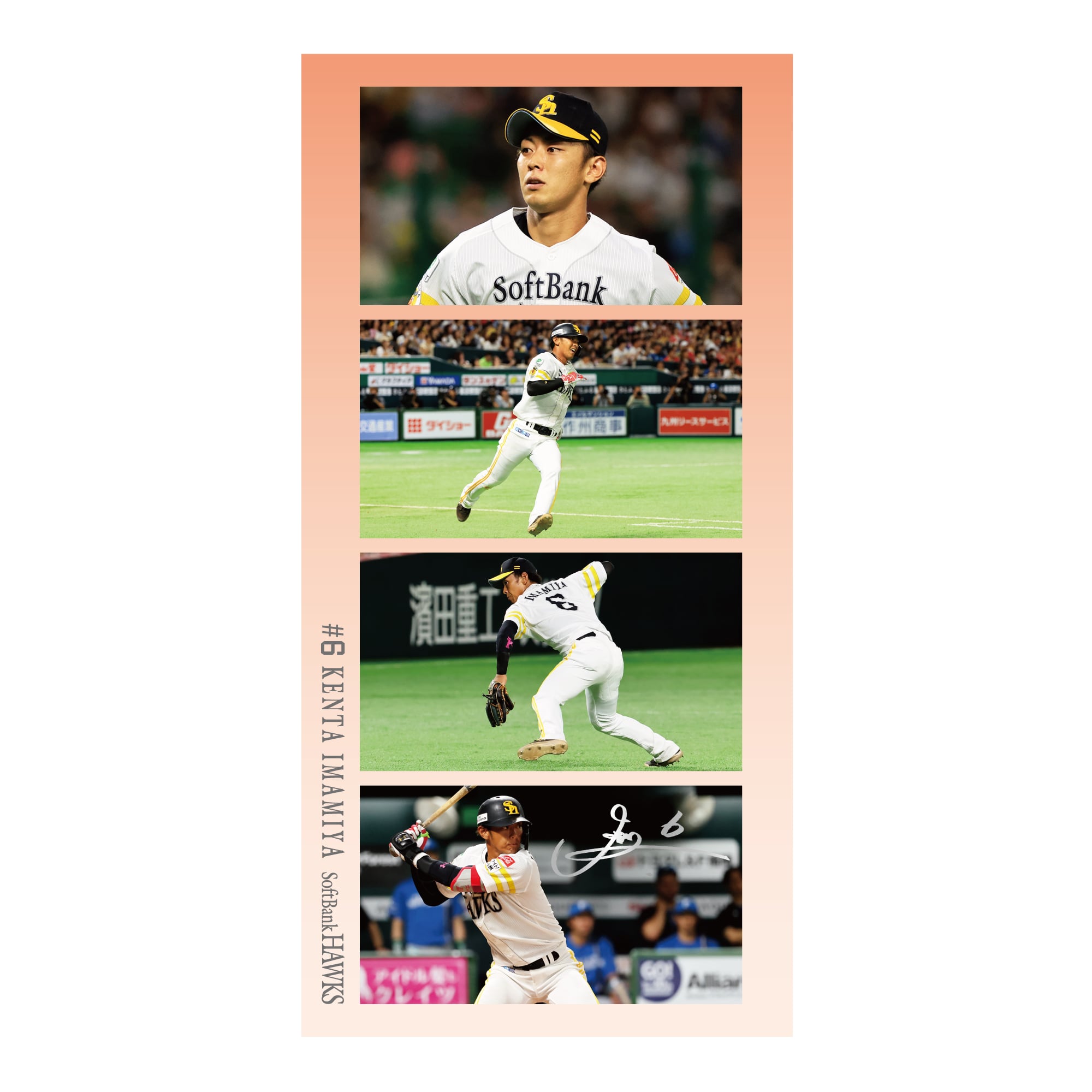 26アジアンデー 4カットフォトシール（6今宮健太）