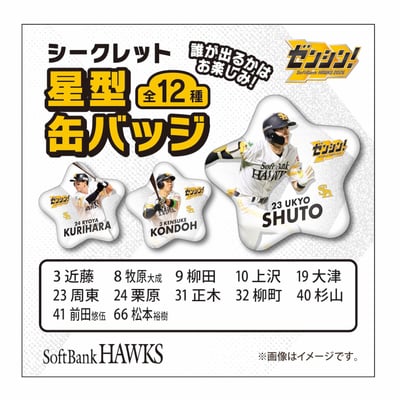 【シークレット】２６終盤戦　シークレット星型缶バッジ