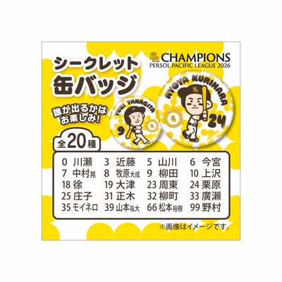 【シークレット】２６リーグ優勝記念　ミニチュアホークス　シークレット缶バッジ ※お届け予定時期ご確認の上ご購入をお願いします