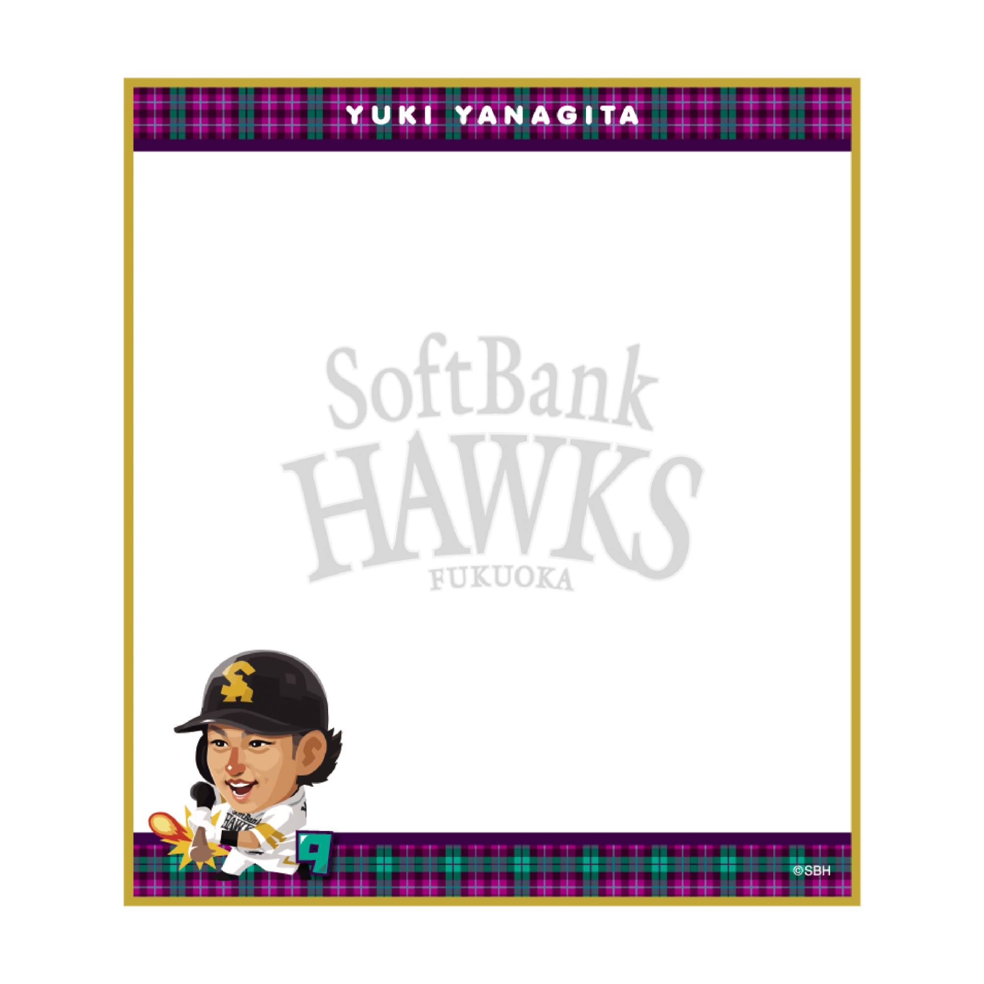 24-hawks-tvq-collaboration-
