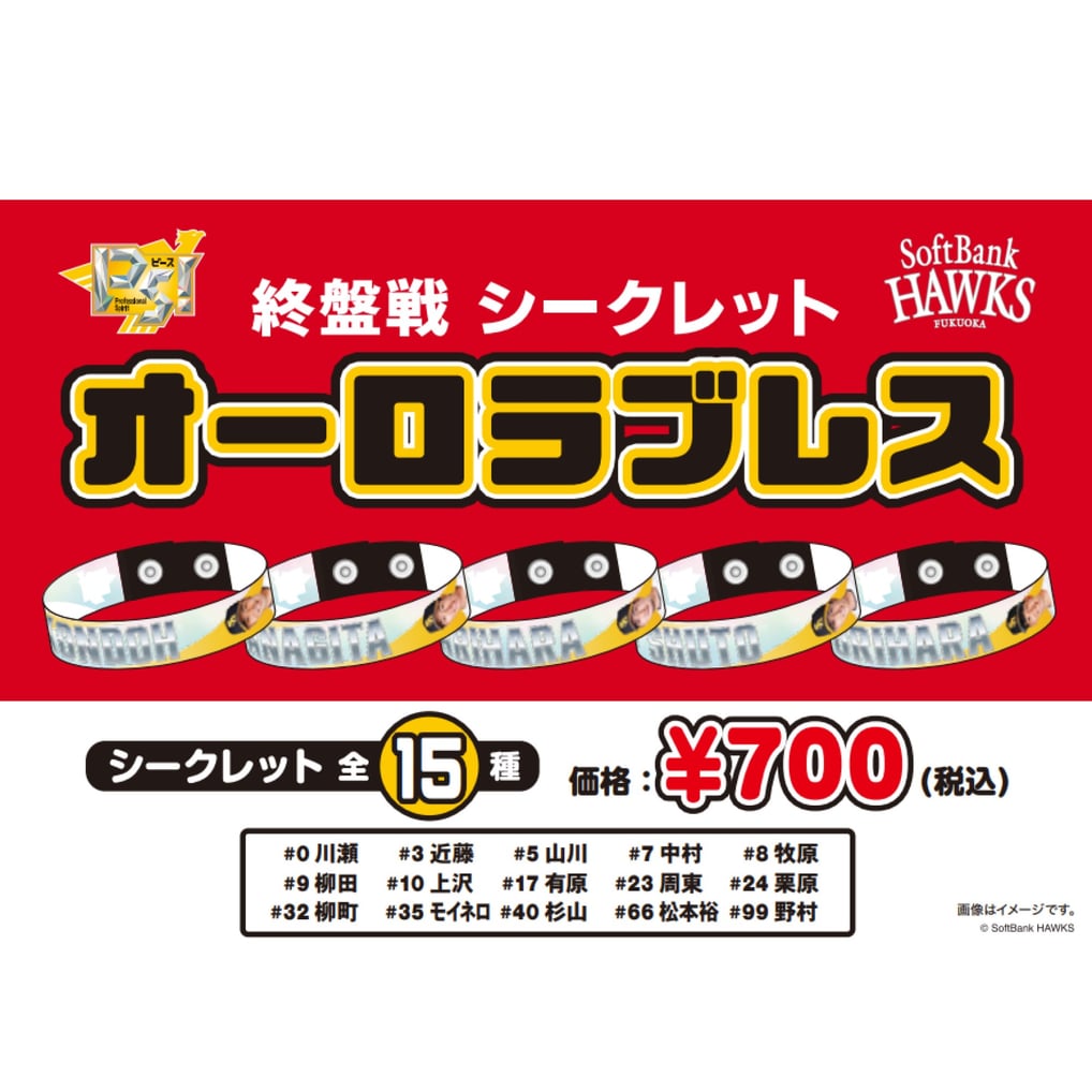 【シークレット】２５終盤戦シークレットオーロラブレス（１５種）