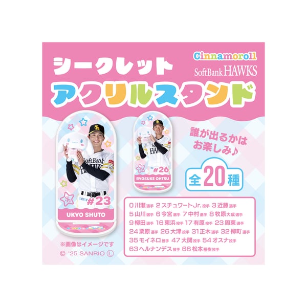 25-pink-full-player-x- 