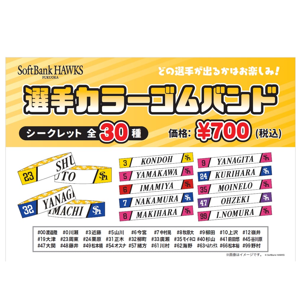 シークレット】26シークレット 選手カラーゴムバンド 30種