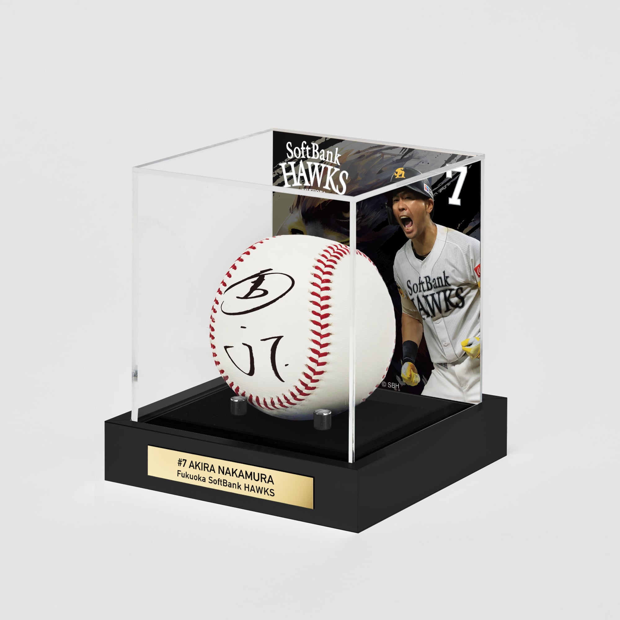autographed-ball-and-ball-case 