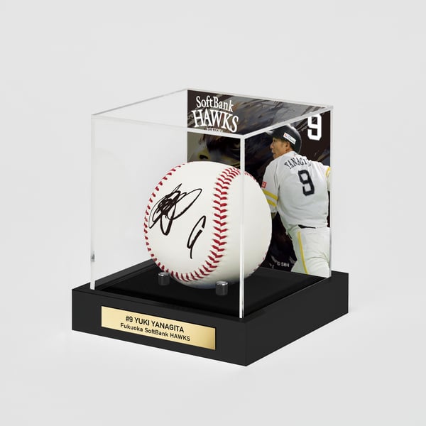 autographed-ball-and-ball-case 