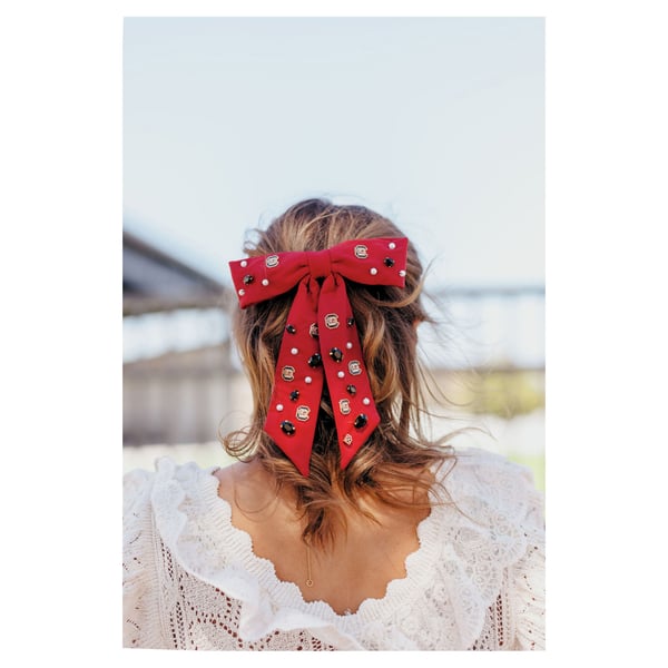 University of South Carolina Accessories, Unique South  display picture 1