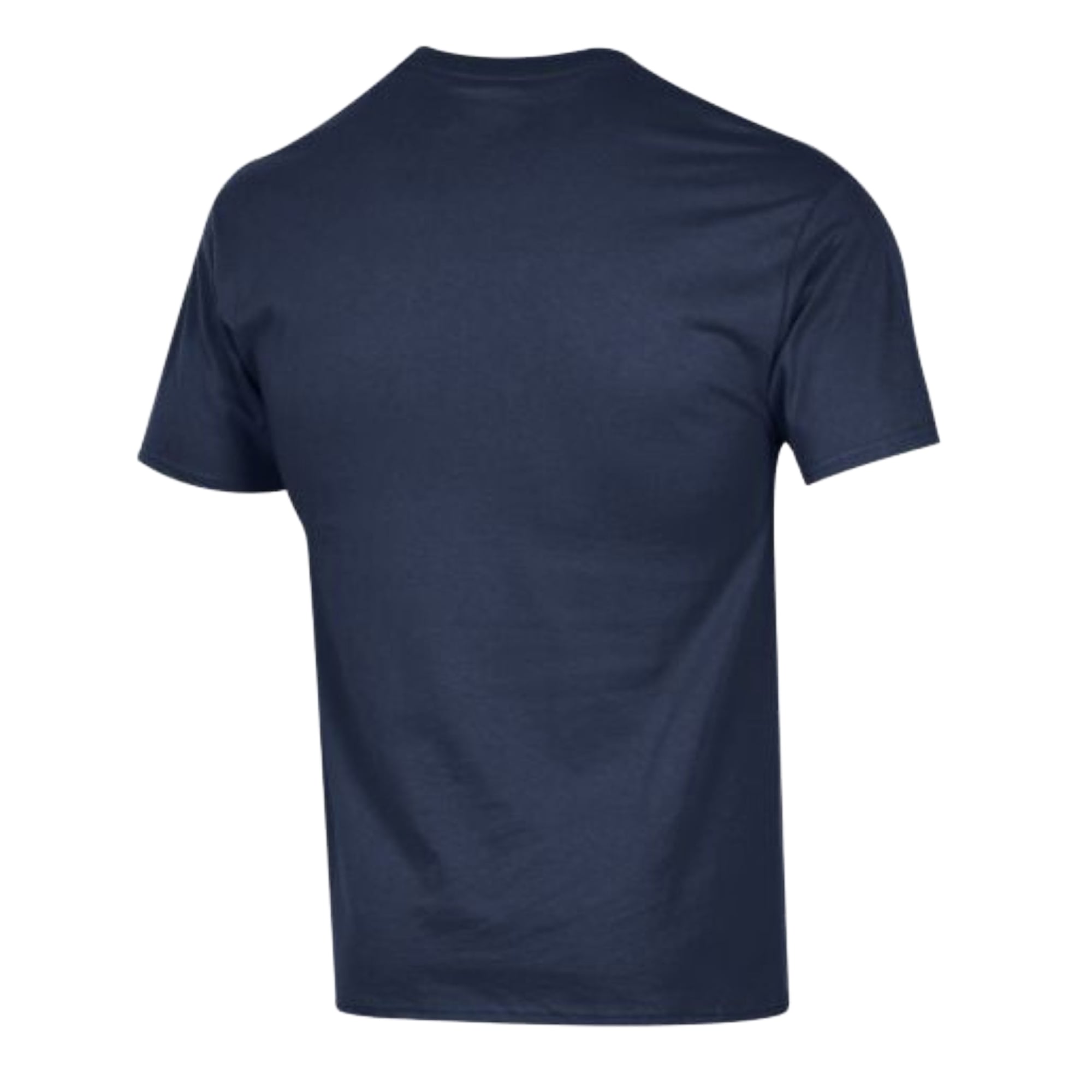 Men's Champion Navy South Carolina Gamecocks Americana 250th Arch T-Shirt