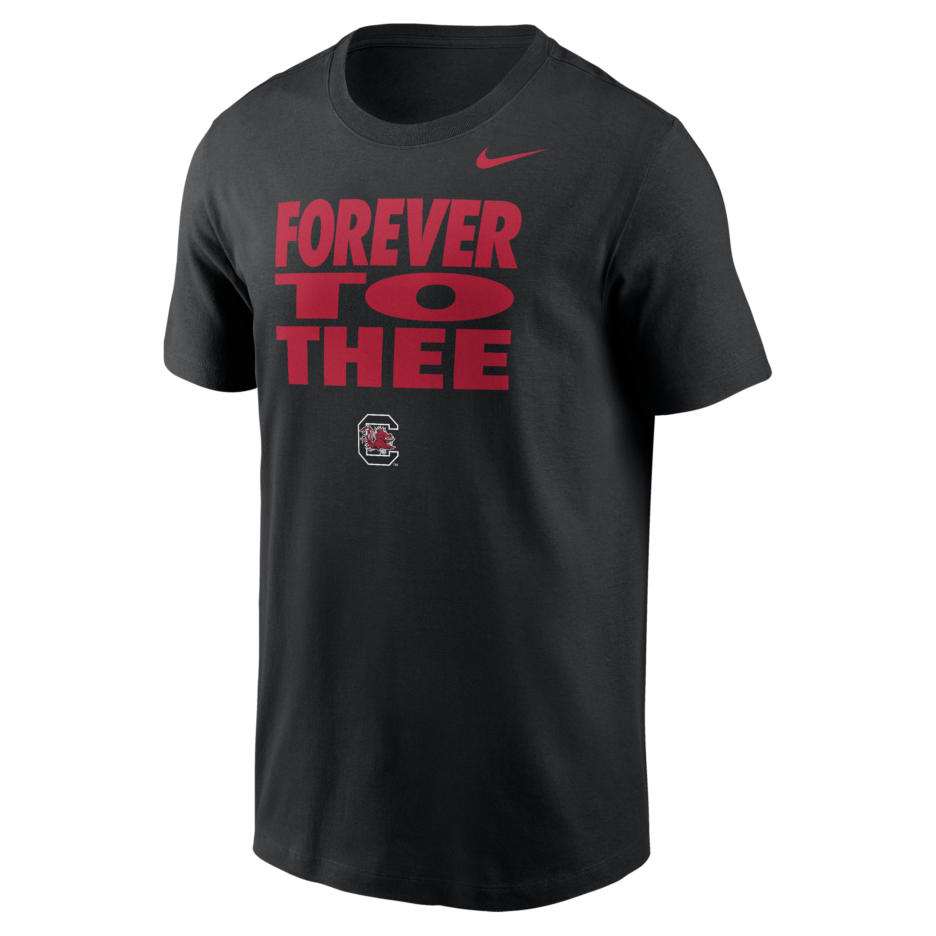 Men's Nike Black South Carolina Gamecocks Forever to Thee Dri-FIT T-Shirt