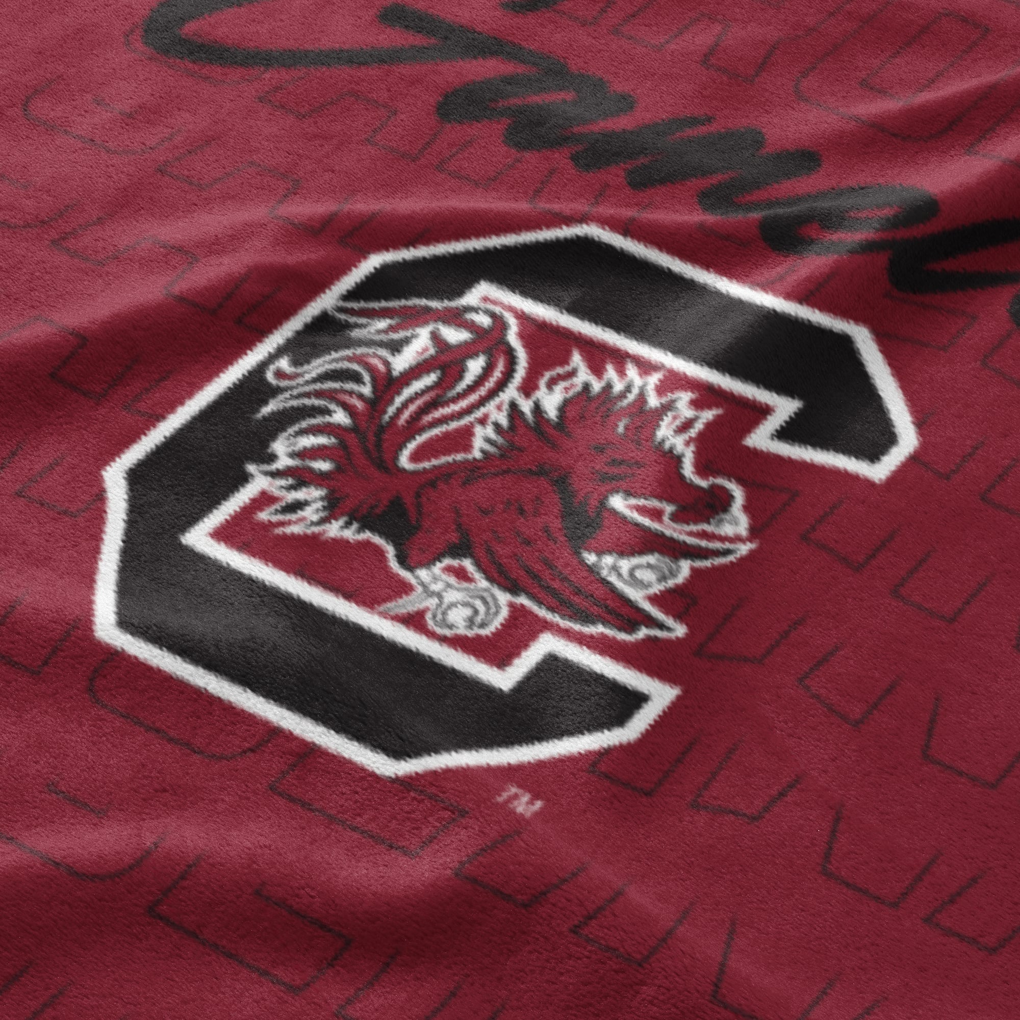 Couverture ultra douce Pegasus South Carolina Gamecocks Echo Script Fade 50" x 60"